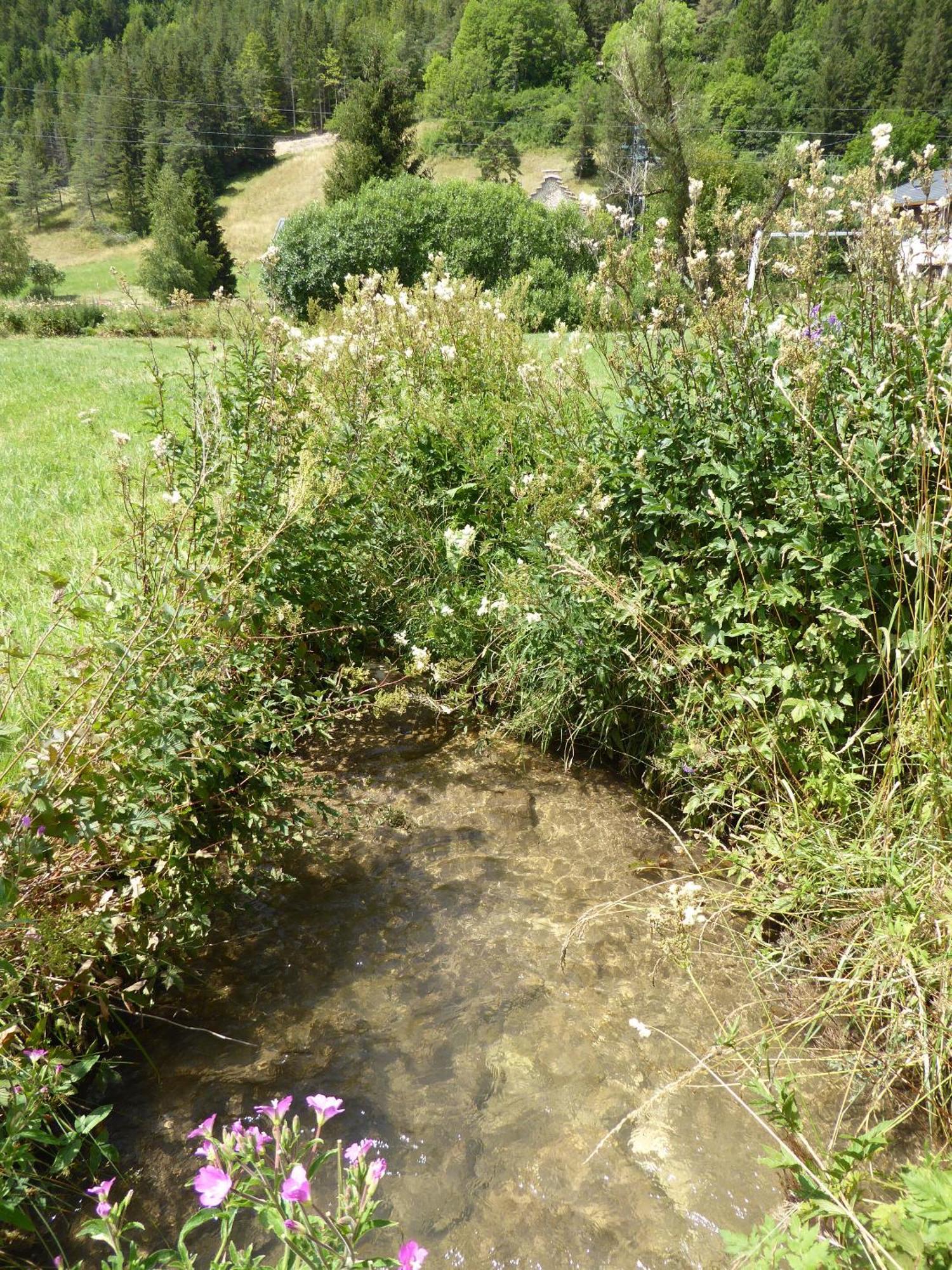 Ferme De La Grande Moucherolle Villard-de-Lans Camera foto