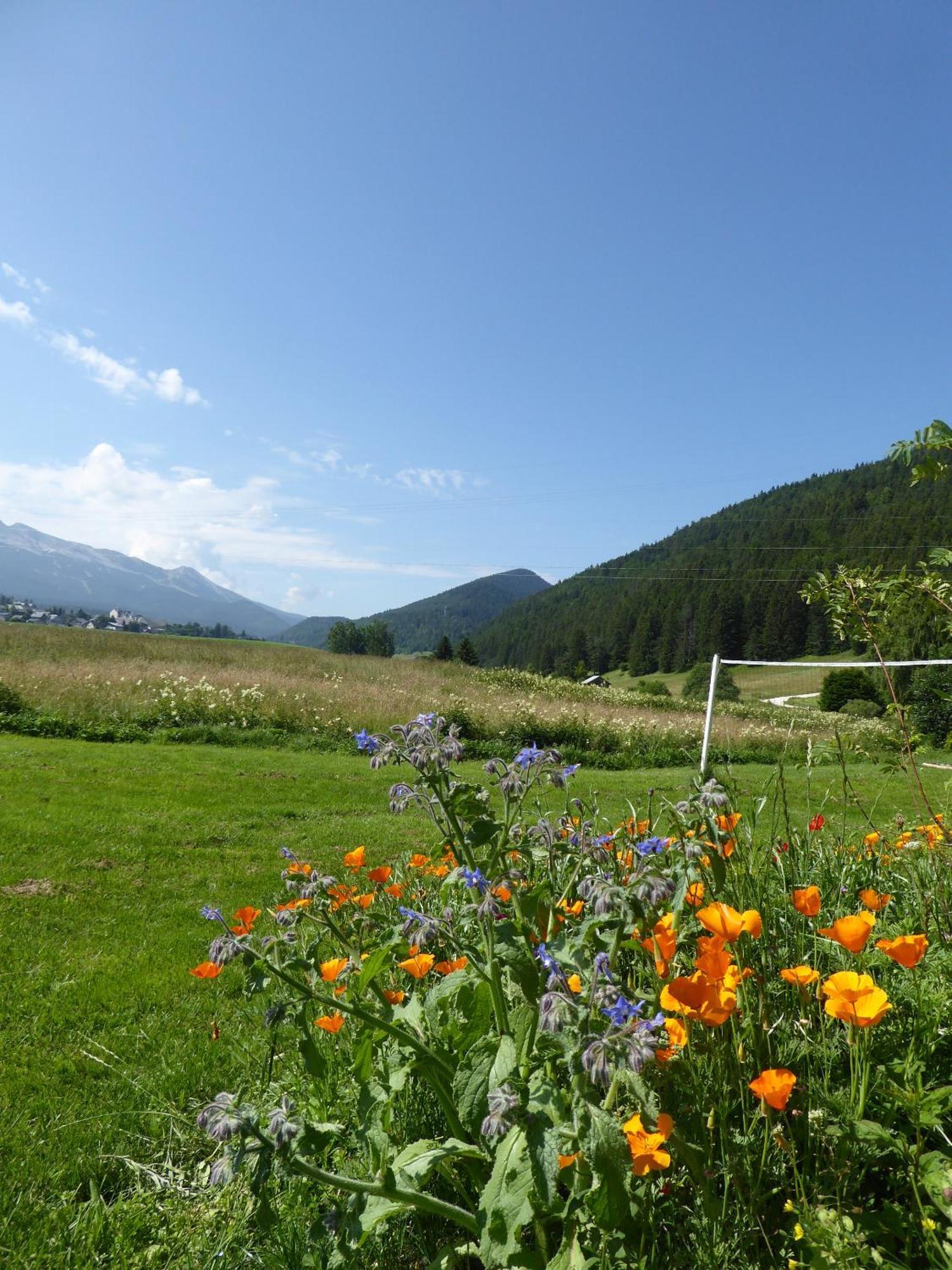 Ferme De La Grande Moucherolle Villard-de-Lans Esterno foto